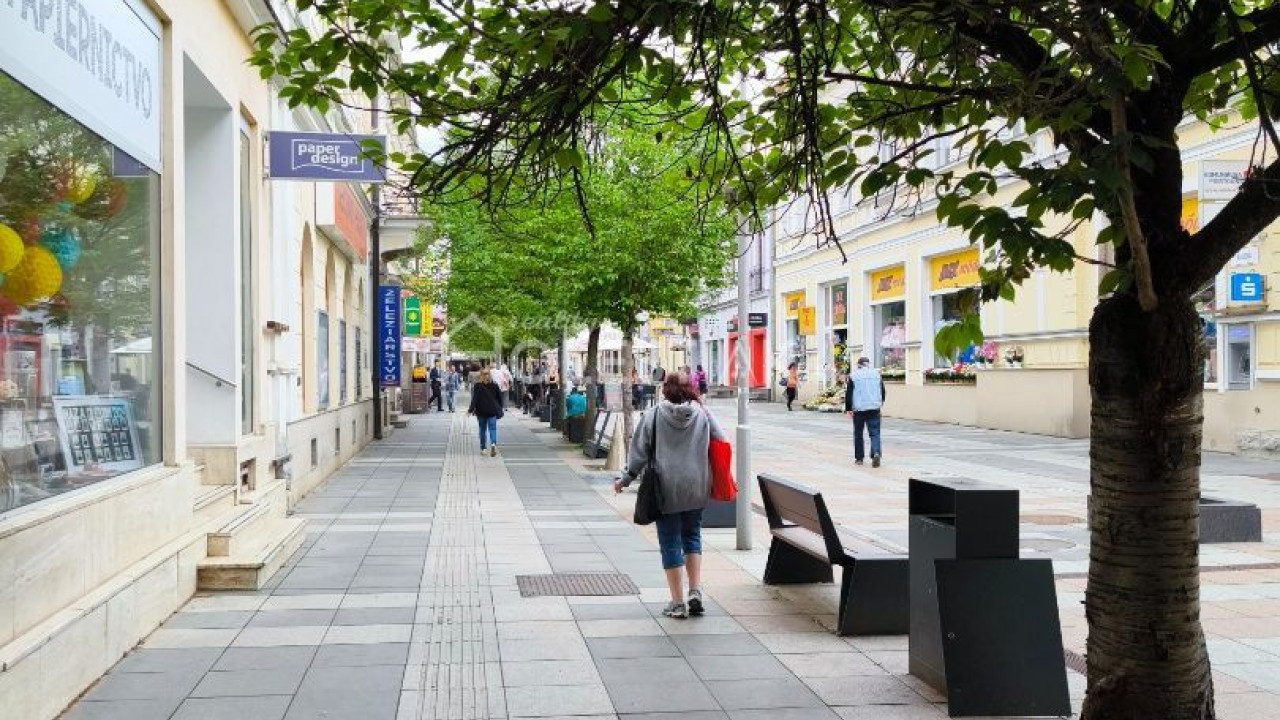 Zvýhodnená cena - Dám do prenájmu obchodné priestory, centrum Žilina, Národná