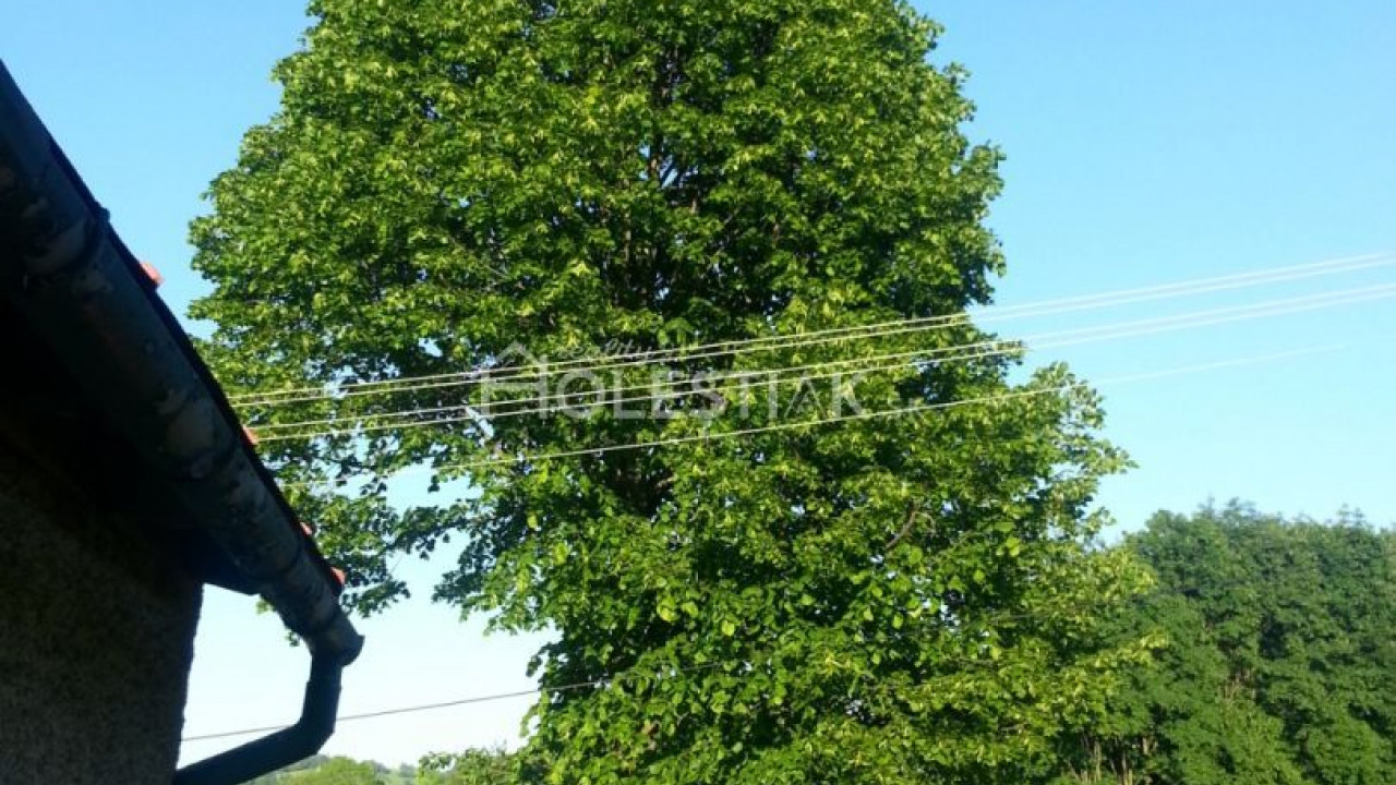 Zvýhodnená cena Predám pozemky a dom s veľkou záhradou Skalité, iba u nás